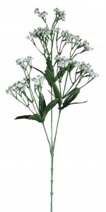 PHOTO: www.unitedsilk.com