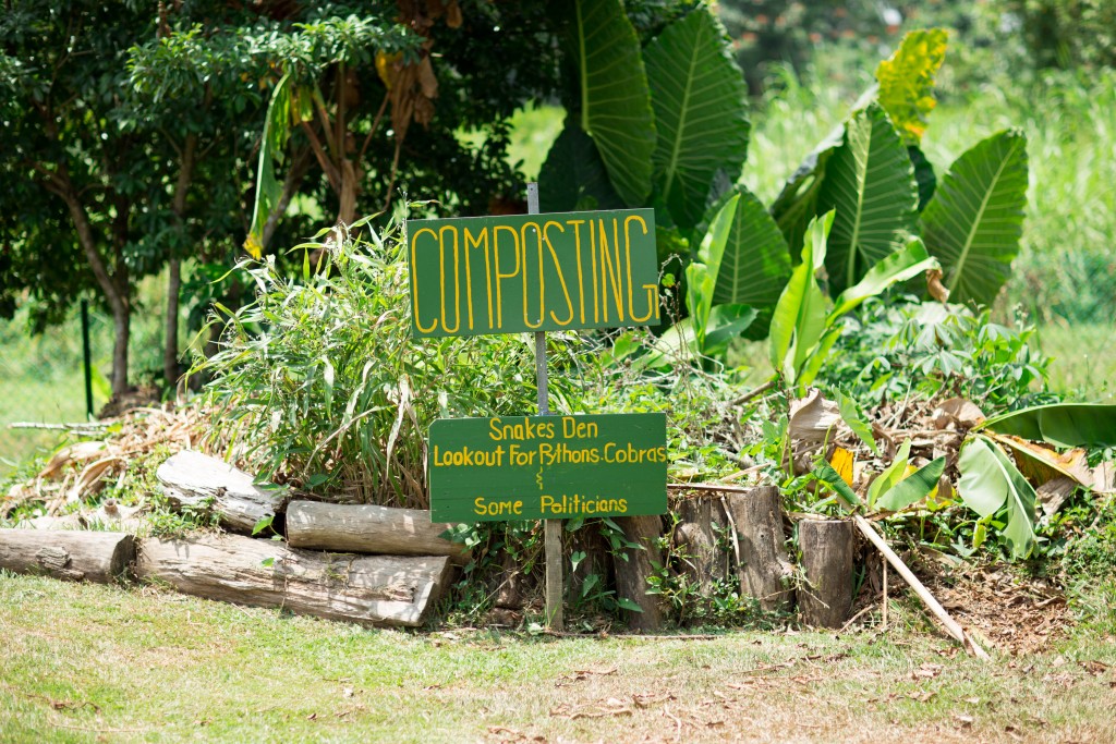 PHOTOS: MATTHEW CHEW