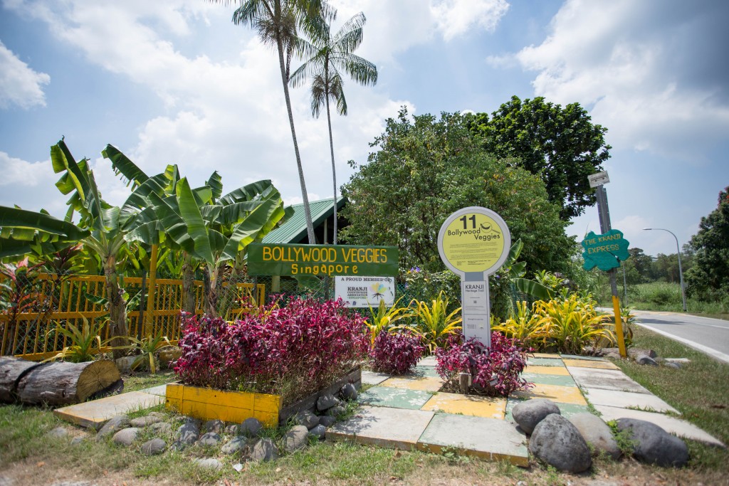 PHOTOS: MATTHEW CHEW