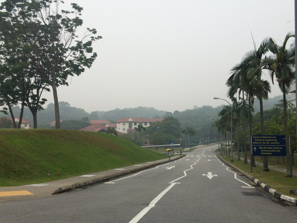 SHROUDED: The road leading to Hall of Residence 7 and Nanyang Crescent, yesterday at 12.30pm. PHOTO: LOUISA TANG