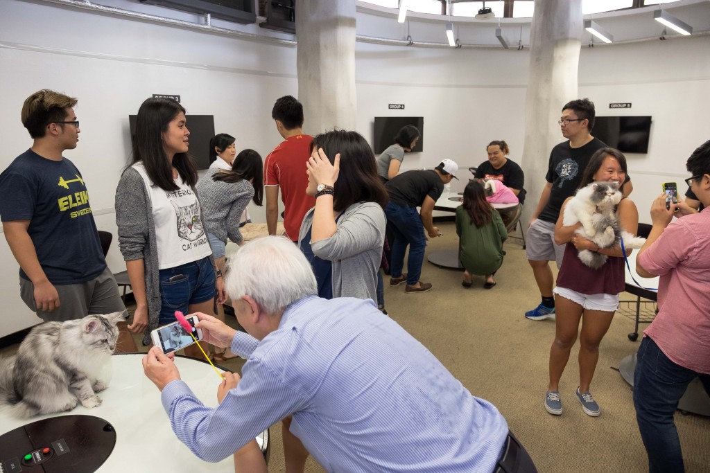 Cats were the centre of attention at the university's first cat therapy event, organized by the NTU Cat Management Network and the Animal Lovers Society. PHOTO: KENJI KWOK
