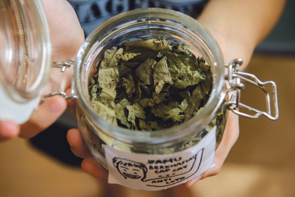 THE HARVEST: The leaves of bandicoot berry harvested from the Herb Garden is made into tea leaves. The herb serves as a tonic drink and acts as an energy booster. PHOTO: ZHENG JUNCEN