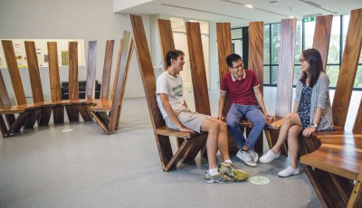 On display at the Lee Kong Chian School of Medicine (LKCMed) are 56 wood sculptures made from trees that grew on campus for over half a century before being cleared for construction of the school. PHOTO: ZHENG JUNCEN