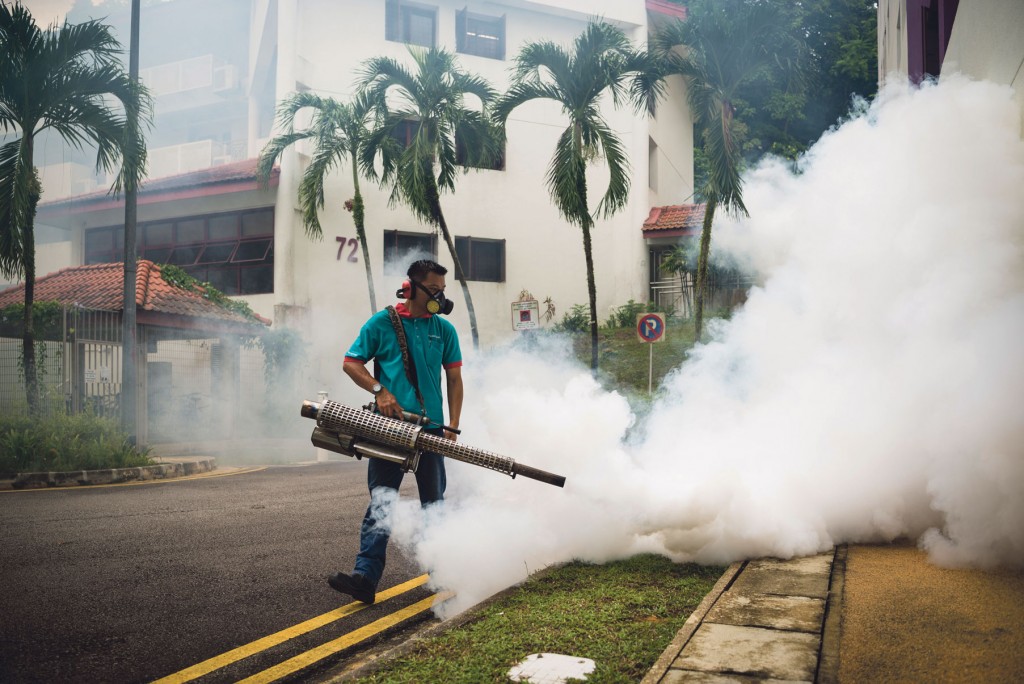 The University’s Office of Development and Facilities Management has implemented several measures to prevent the spread of Zika on campus, including inspections of construction sites, fogging at residential halls and Nanyang Lake, and oiling – pouring a thin layer of oil onto water puddles to kill mosquito larvae. PHOTO: ZHENG JUNCEN