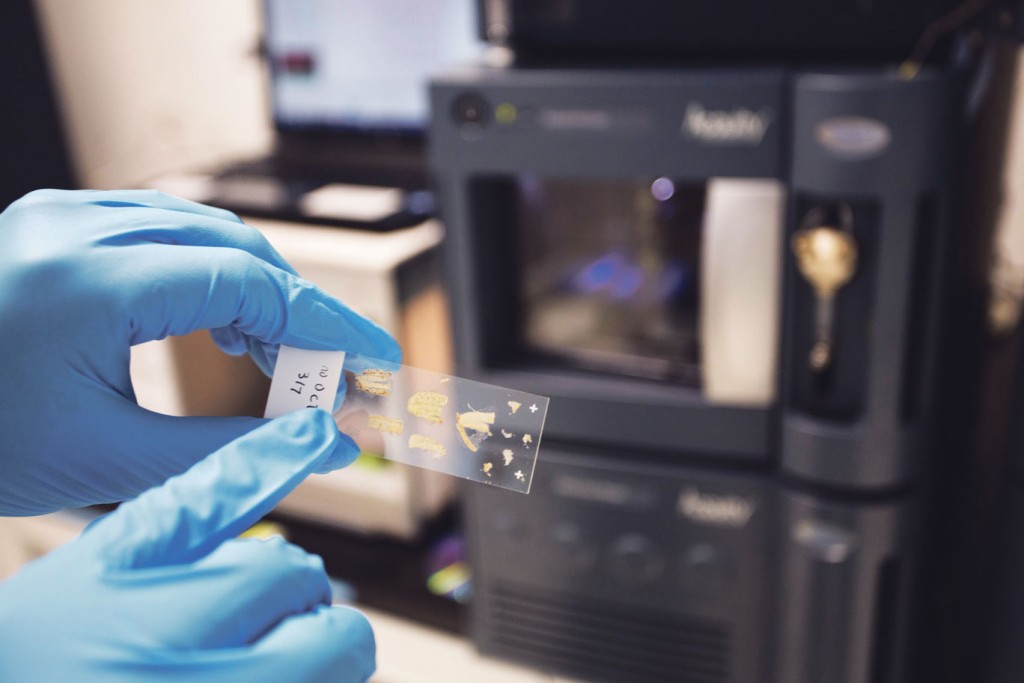 Tissue Sample: Machines are able to map the phenomes in a 3D like fashion, where they cannot only identify the composition of the tissue cells, but also the map the phenomes to the specific point in the cell.. They are also used for environmental research in an ongoing project with the PUB. The machines are used to trace how effective a particular bacteria is in treating polluted or waste water.