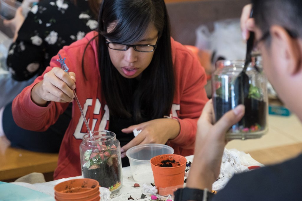 The terrarium workshop was organised by the ASE OCIP committee on the College of Science Day. The undergraduate programme in environmental earth systems science was launched in 2014.