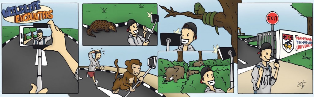 GRAPHICS BY EUGENE THAM