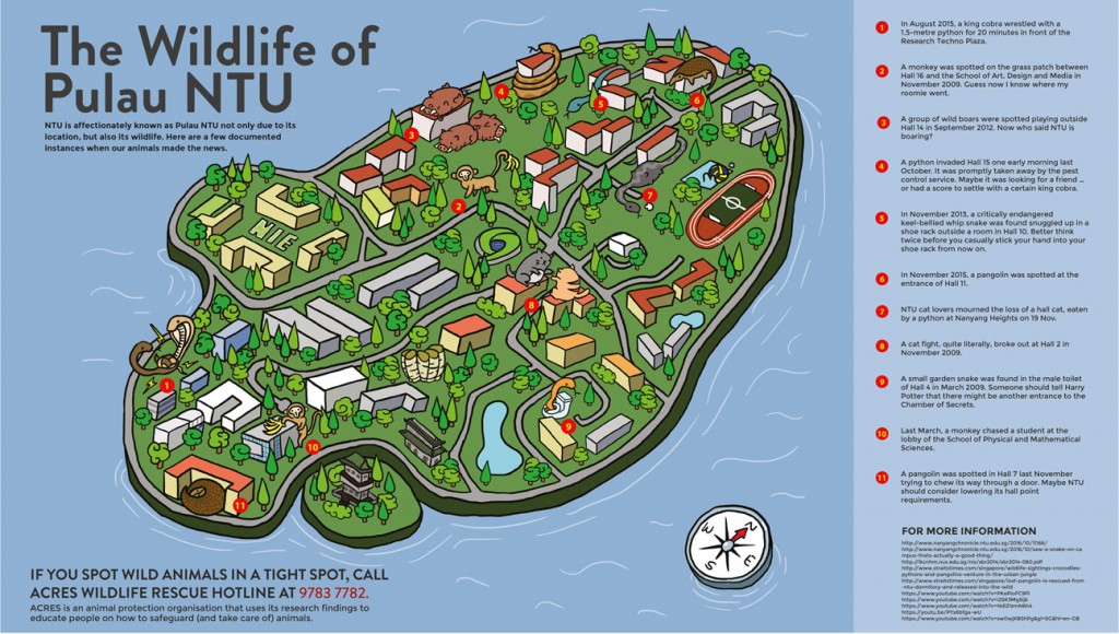 VER9_ANIMALGRAPHIC_CMYK_TOBY-01